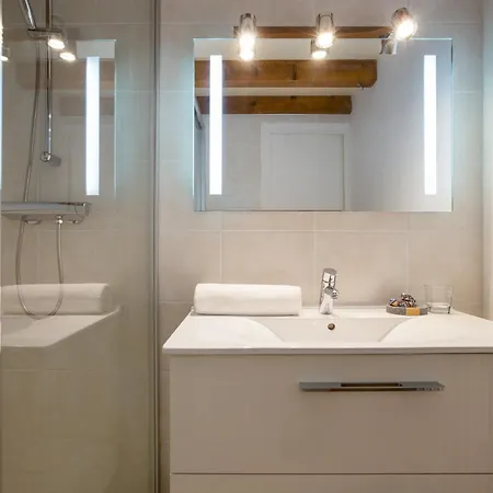 Androsace 53 - Happy Apartman Chamonix