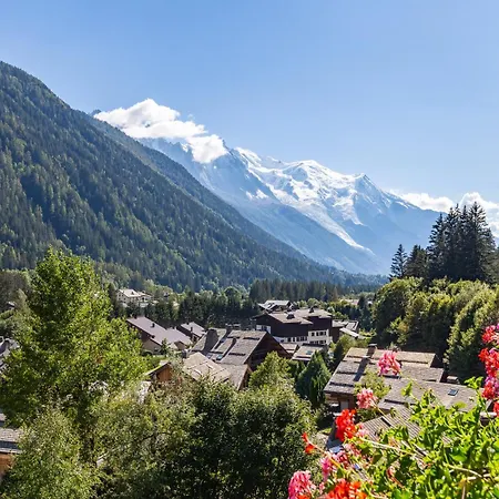 Androsace 53 - Happy