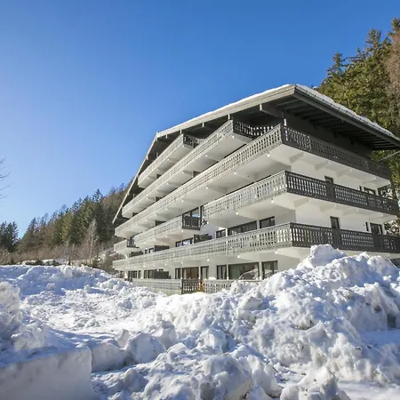 Androsace 53 - Happy Chamonix