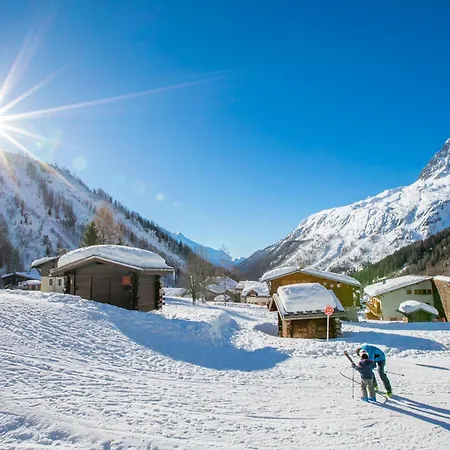 Androsace 53 - Happy Chamonix