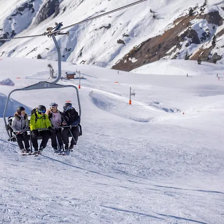 Androsace 53 - Happy *