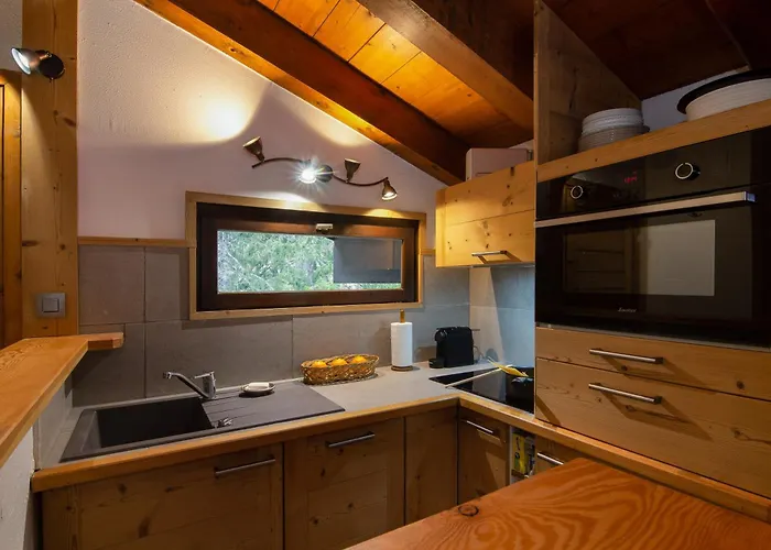 Apartmán Androsace 53 - Happy *