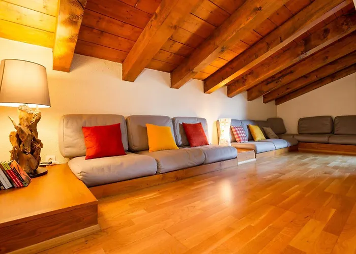 Androsace 53 - Happy *