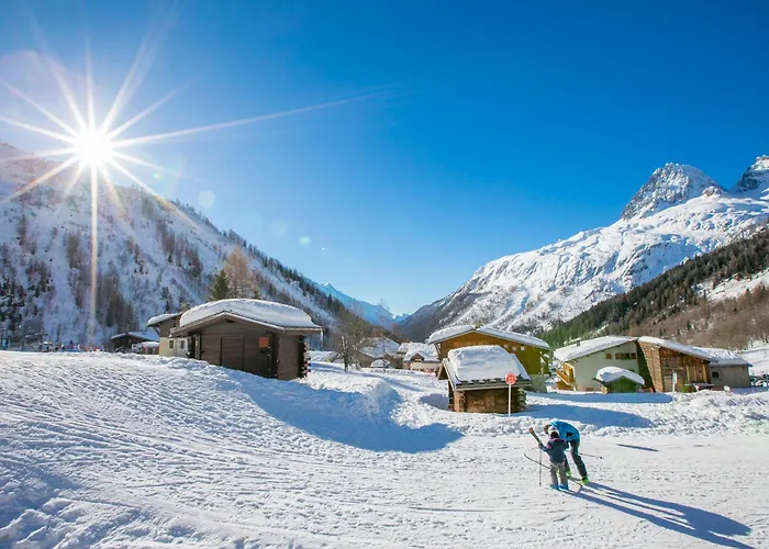 Androsace 53 - Happy