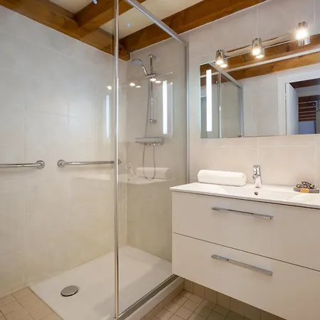 Androsace 53 - Happy 霞慕尼