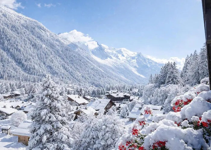 公寓 Androsace 53 - Happy *