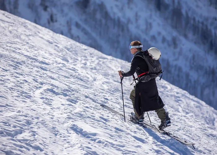 Androsace 53 - Happy 公寓 霞慕尼