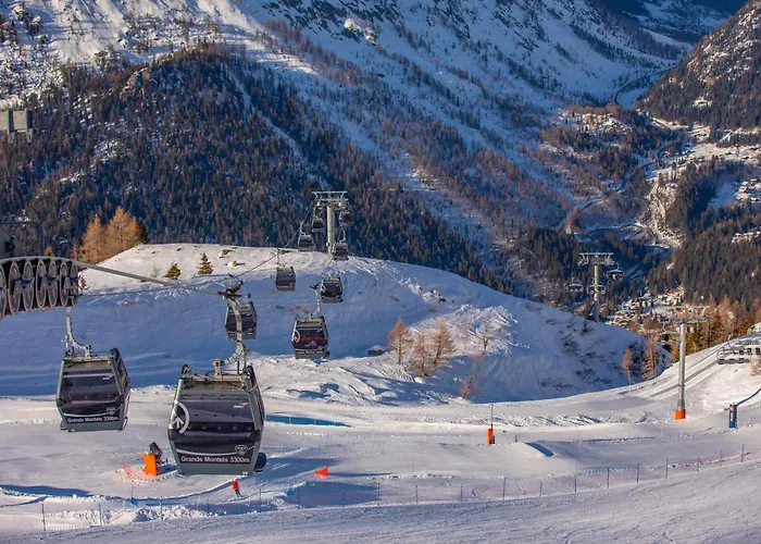 Androsace 53 - Happy *